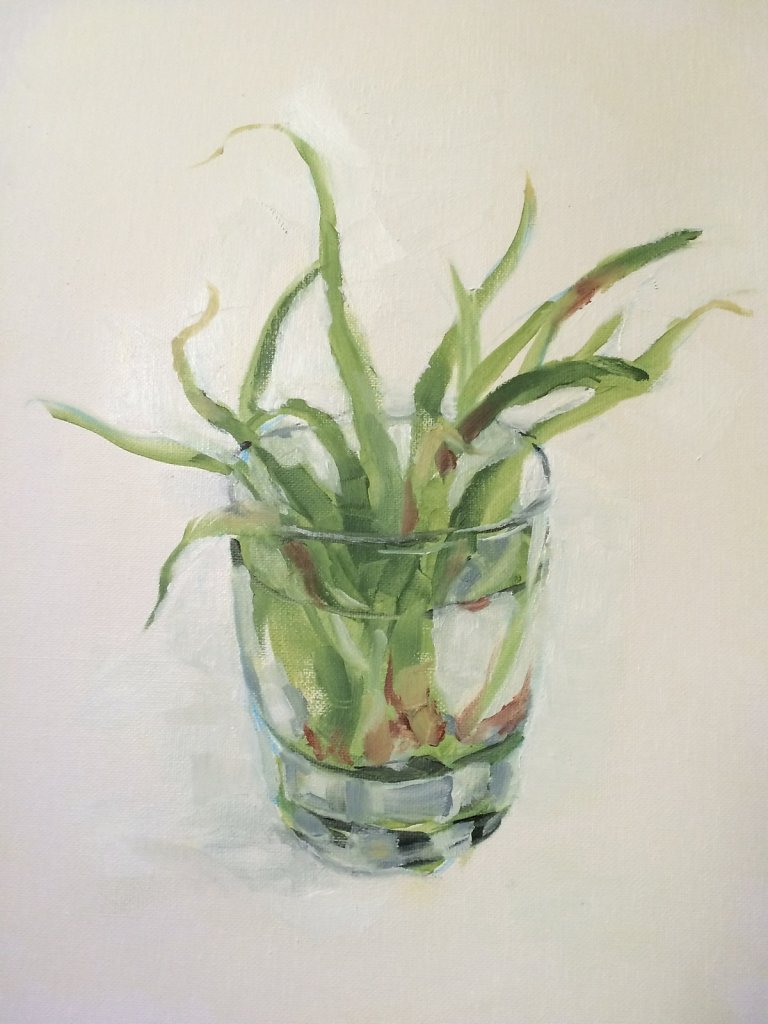 Aloe Study