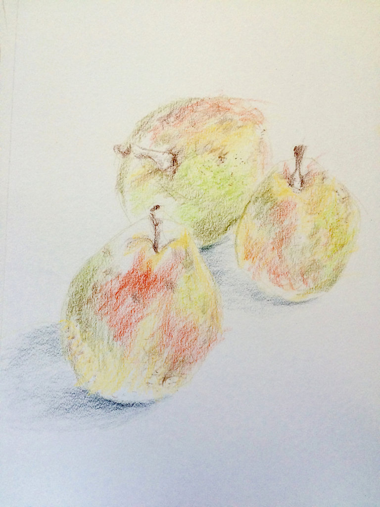 Pear Study